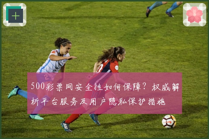 500彩票网安全性如何保障？权威解析平台服务及用户隐私保护措施