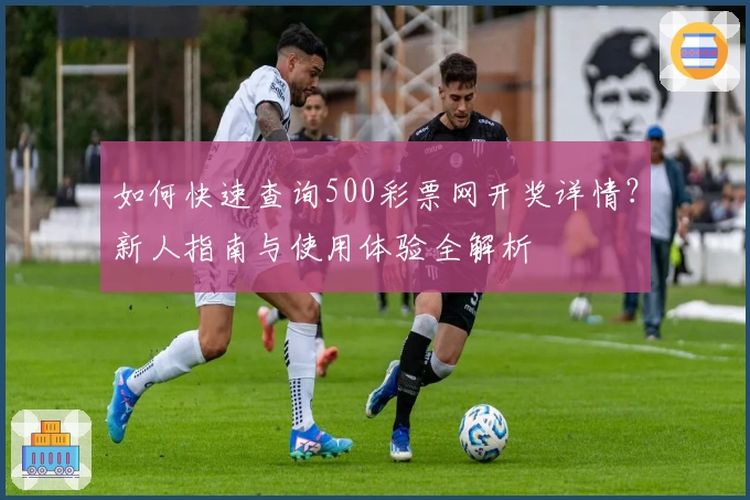 如何快速查询500彩票网开奖详情？新人指南与使用体验全解析