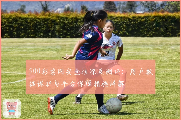 500彩票网安全性深度测评：用户数据保护与平台保障措施详解